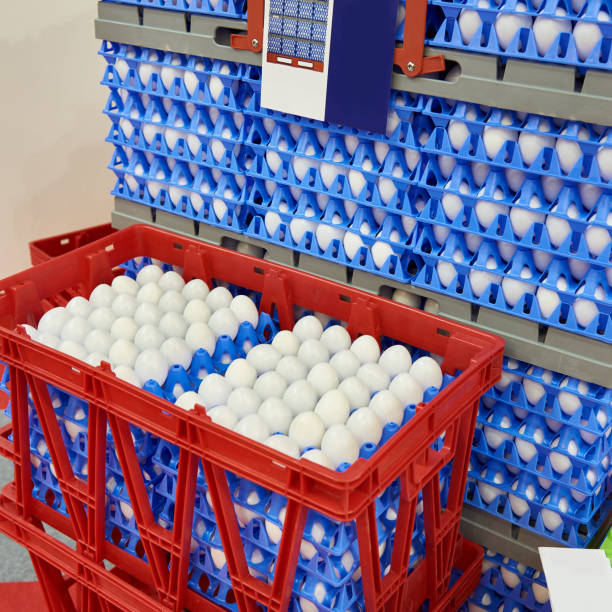 How Hygienic Plastic GMA Pallets Can Increase Safety