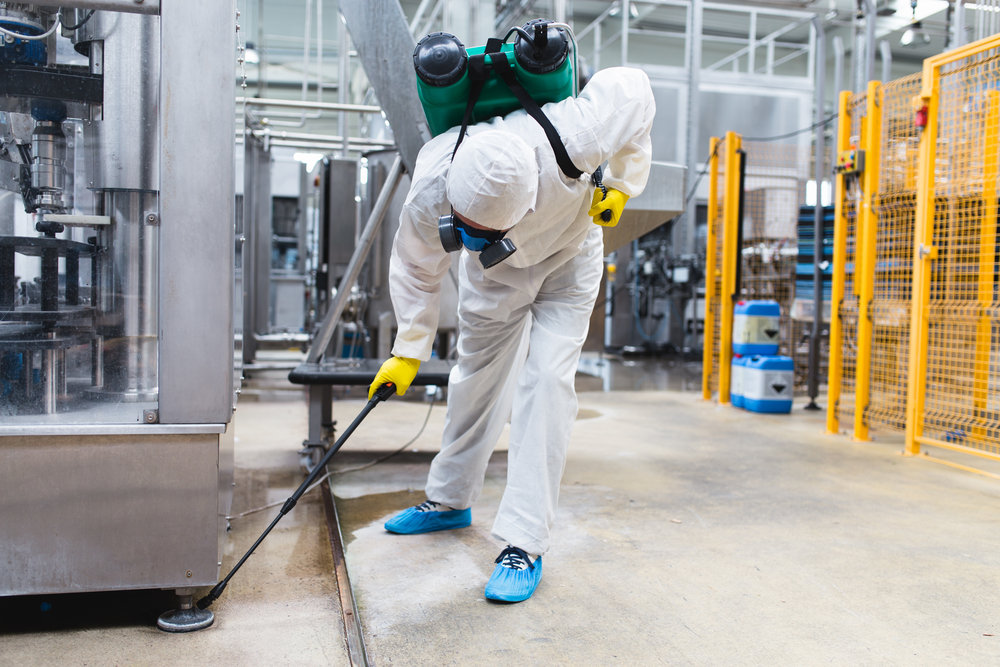 Warehouse Pest Control: Preventing and Managing Common Pests