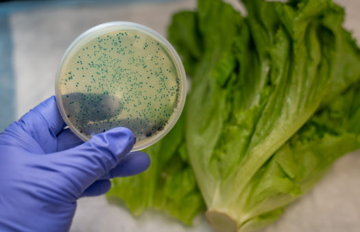 Tracking can improve food traceability