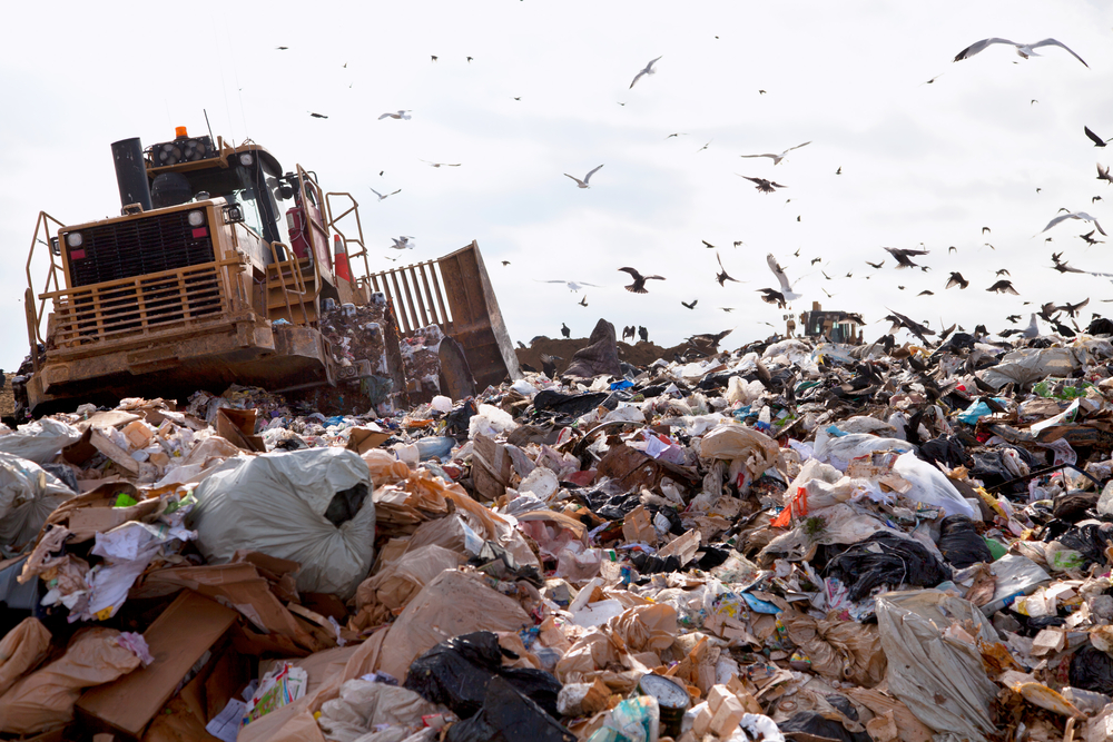 Reducing food waste in the supply chain can keep food out of landfills