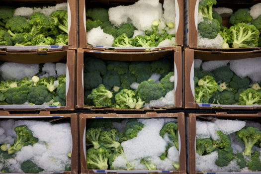 One of the most recent cold chain trends is new ways to keep products cool.