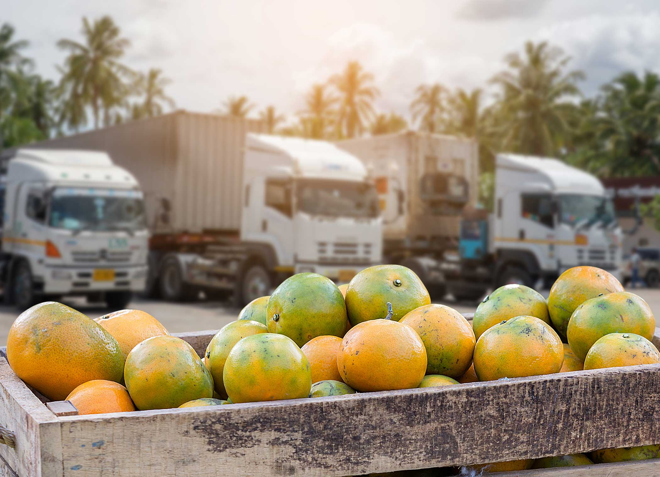 iGPS plastic pallets meet food grade standards hero image with trucks transporting fruit