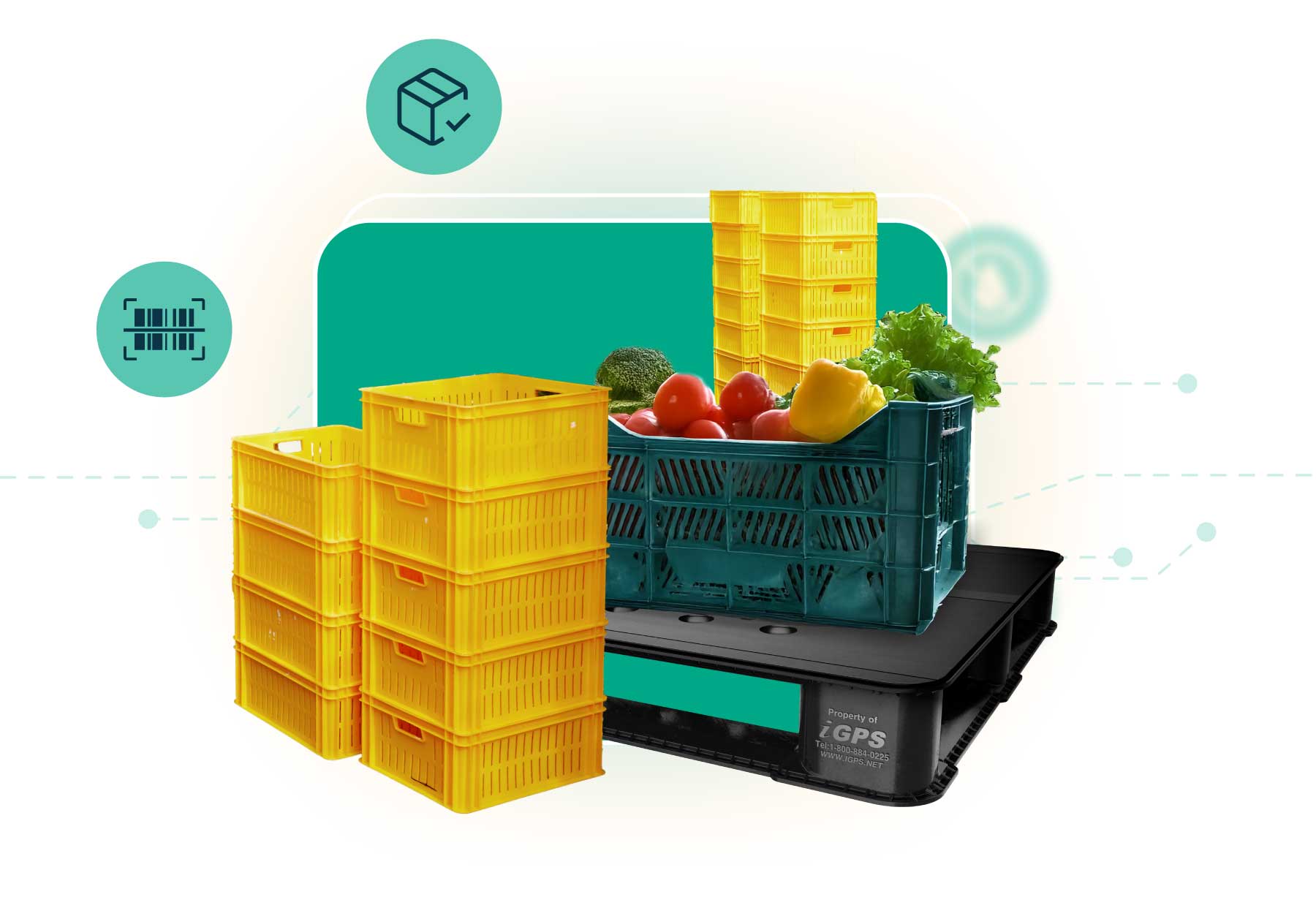 Reducing Supply Chain Waste with Reusable Packaging and Pallets