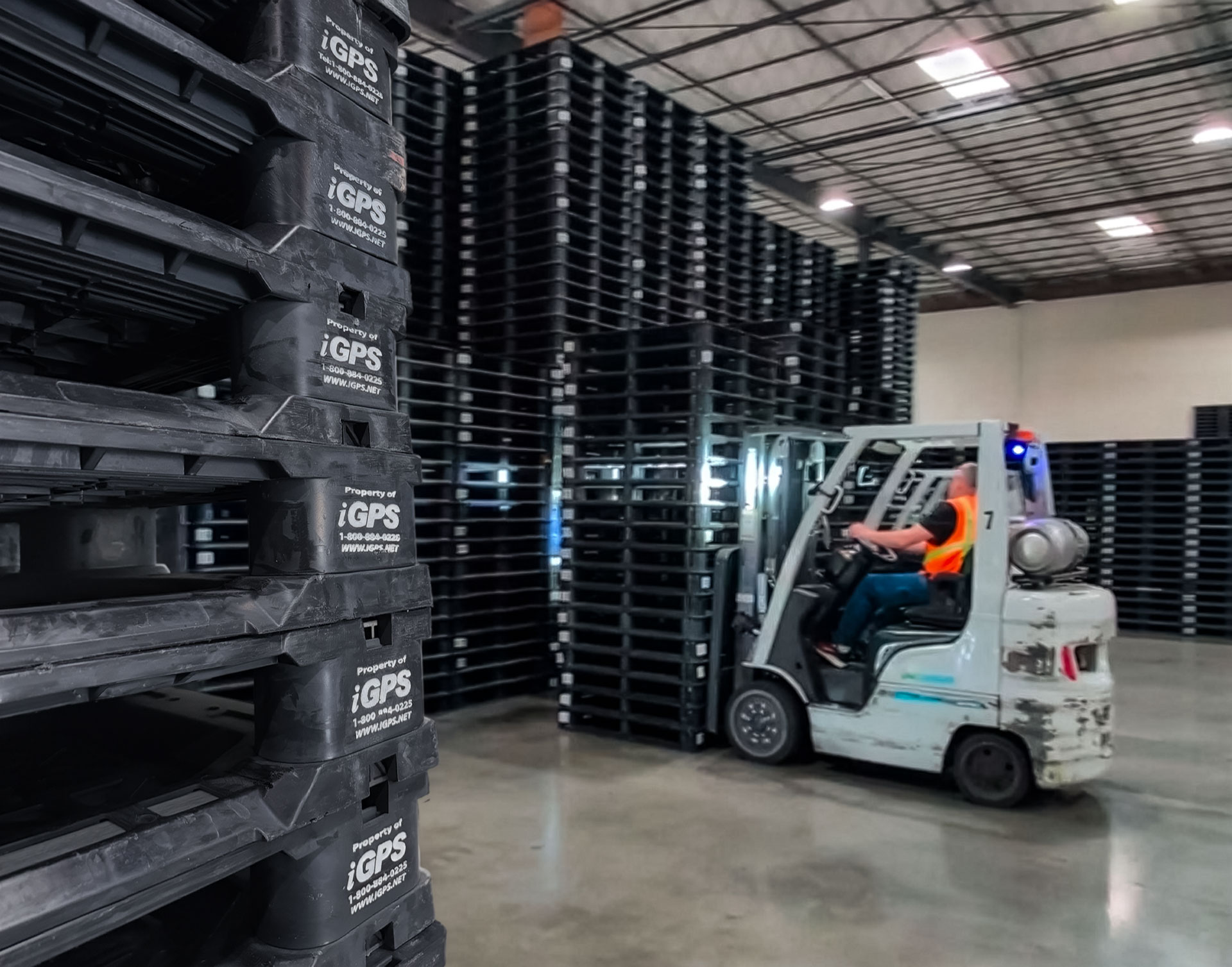 Stacks of iGPS Plastic Pallets being moved through Pallet warehouse for Plastic-Pallet-Rental-When-Does-Pallet-Rental-Make-Sense